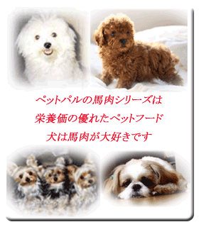 �y�b�g�p���̔n���V���[�Y�͉h�{���̗D�ꂽ�h�b�O�t�[�h