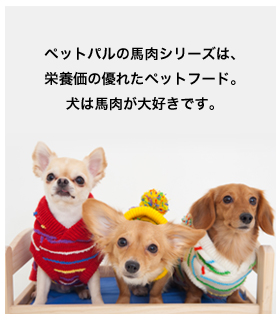 �y�b�g�p���̔n���V���[�Y�͉h�{���̗D�ꂽ�h�b�O�t�[�h